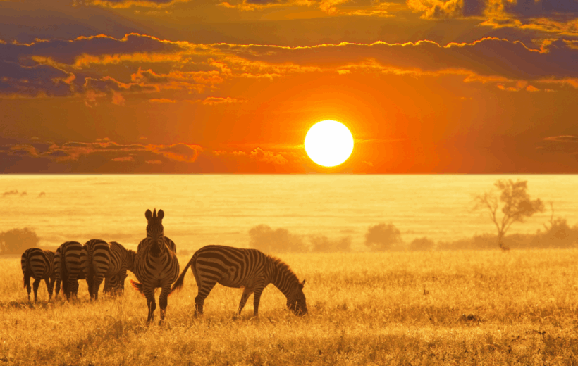 I luoghi più iconici del Sudafrica