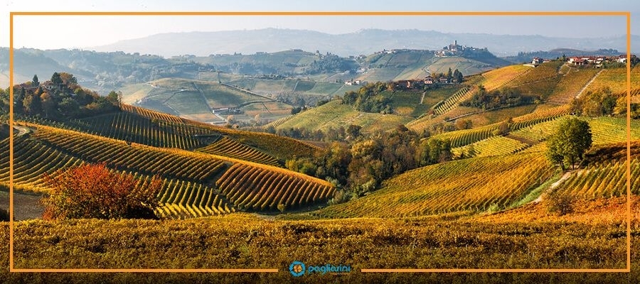 Ponte-1-Novembre-langhe