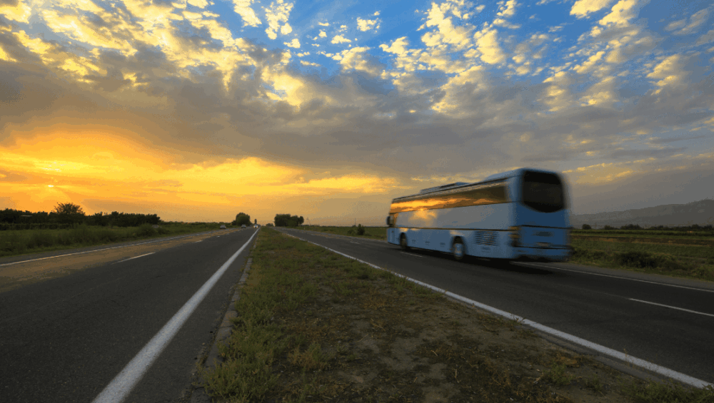 Viaggi-estivi-2025-la-guida