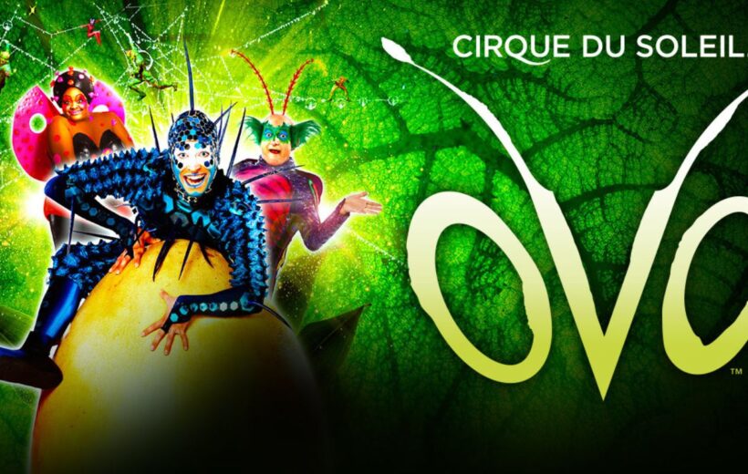 Cirque du Soleil OVO a Roma – 2026